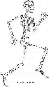 Skeleton typographique Scheletro tipografico