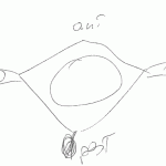 disegna brutto vertebra atlante