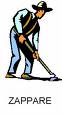 zappare.jpg